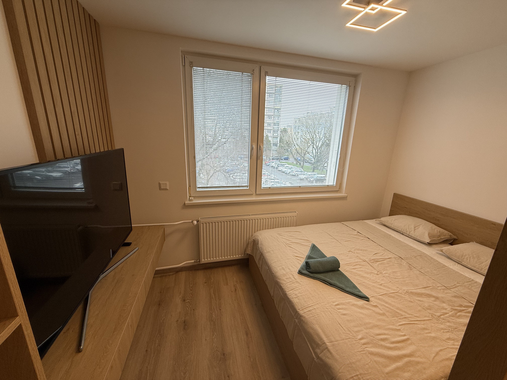 bedroom with TV