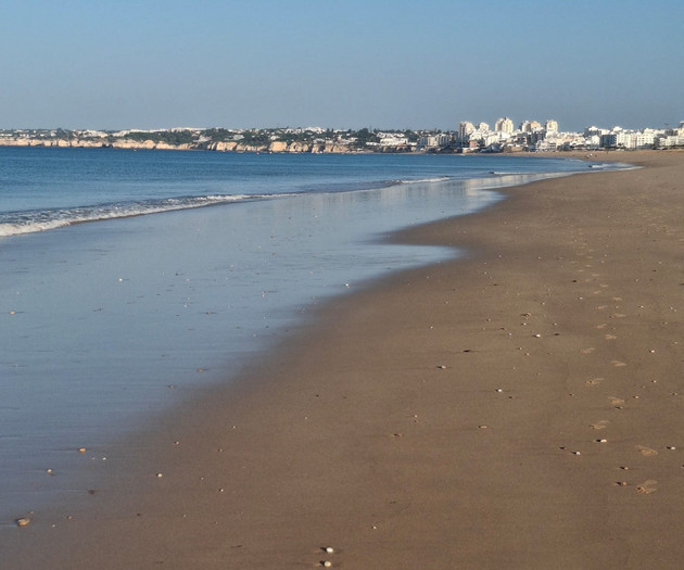 Beach with distant town skyline