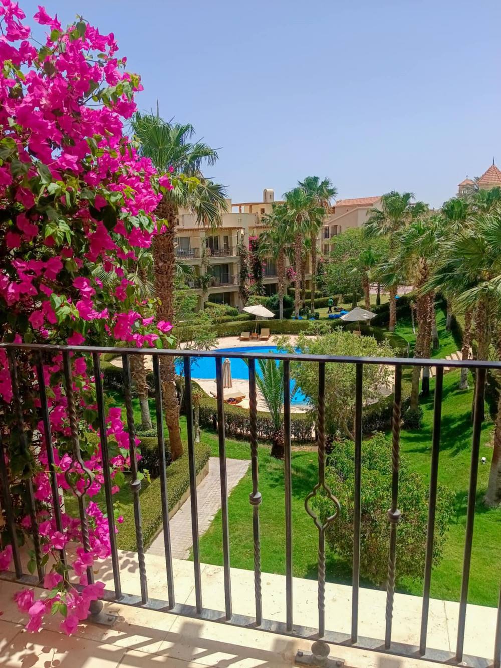Sahl hasheesh veranda resort sea studio pool view preview