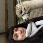 Landlords profile photo