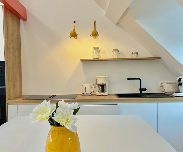 Design & Elegant Duplex in the Heart of Brussels