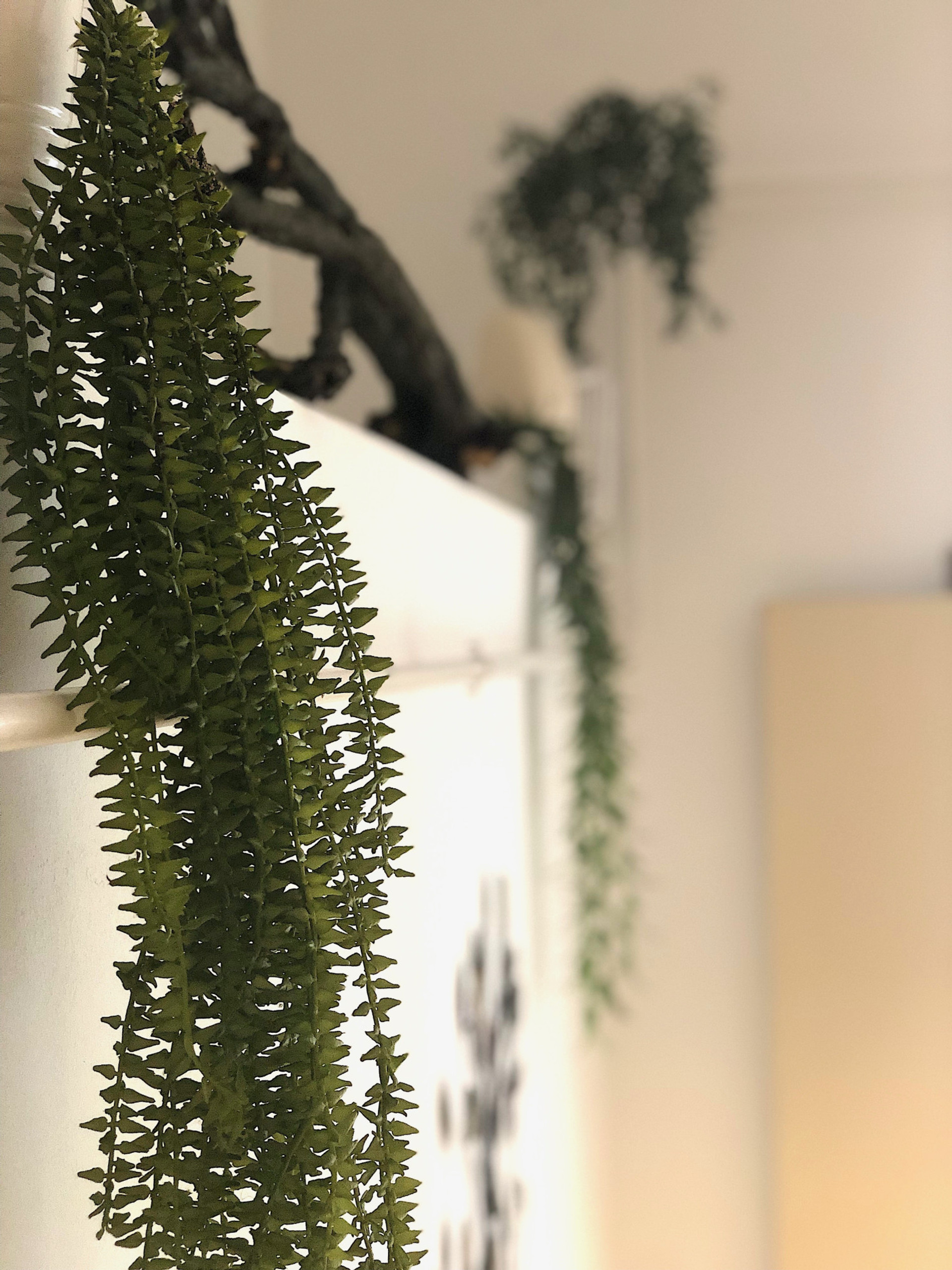 Living room details 