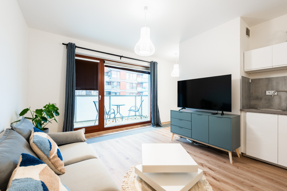 Spacious apartment with a balcony preview