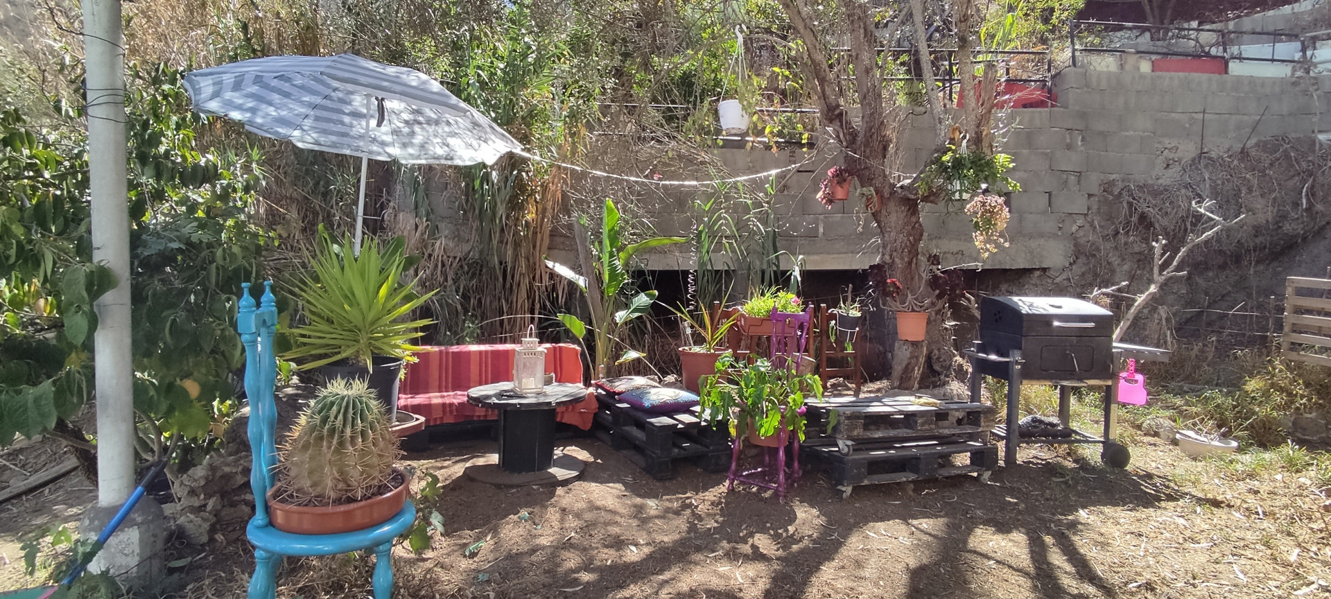 Barbacoa, zona común
