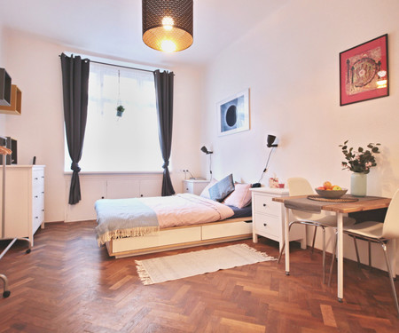 Flat for rent  - Prague 6 - Dejvice