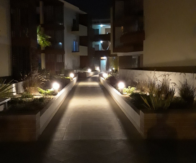 Illuminated pathway at night