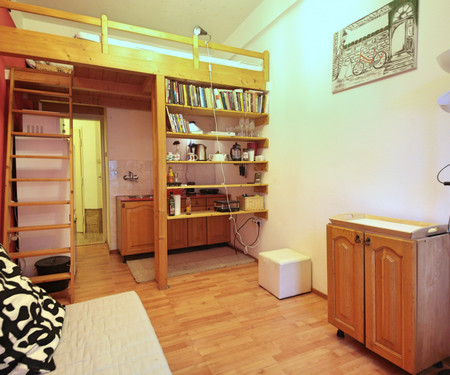 One-bedroom apartment, Vršovice, Přípotoční I.
