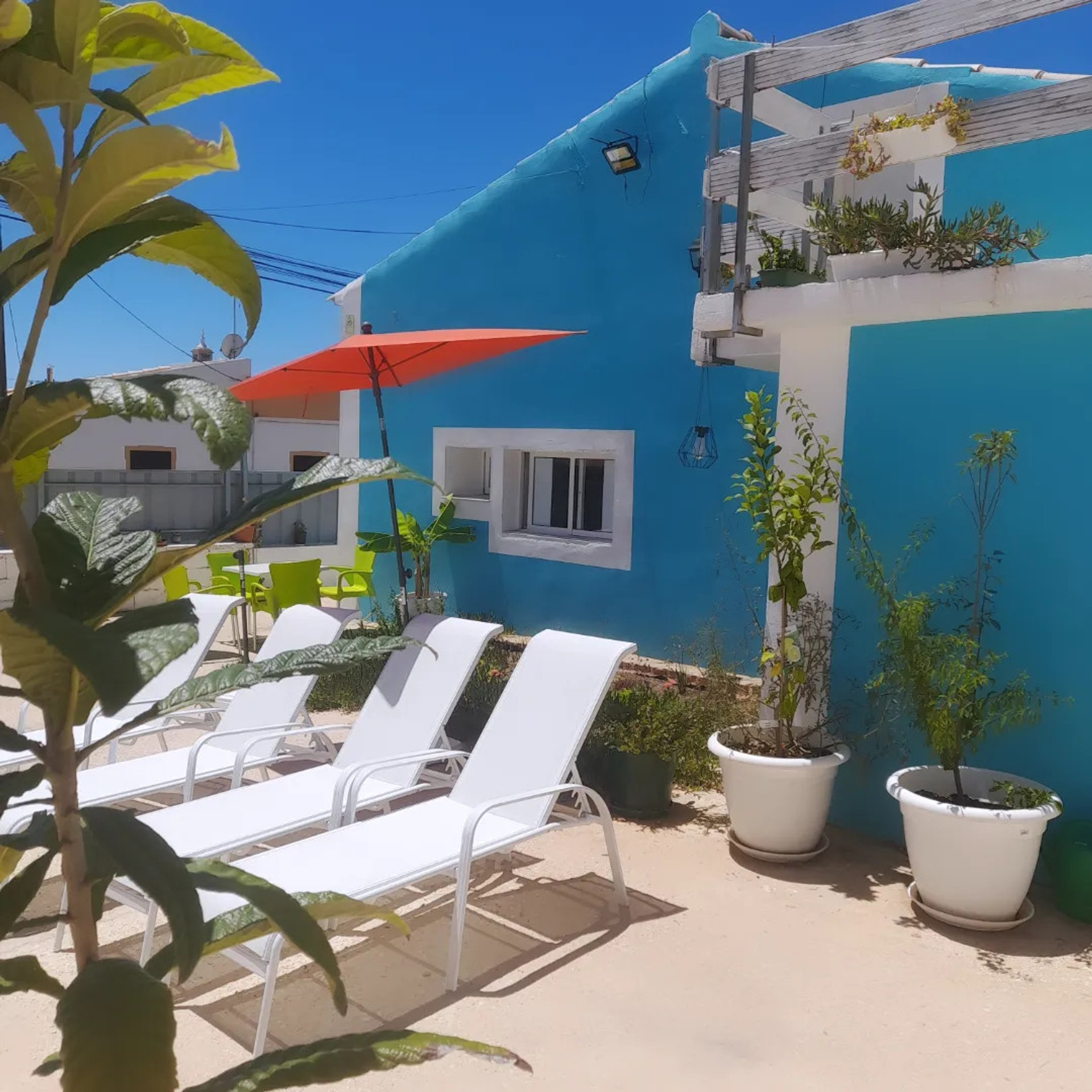 garden with sunbeds