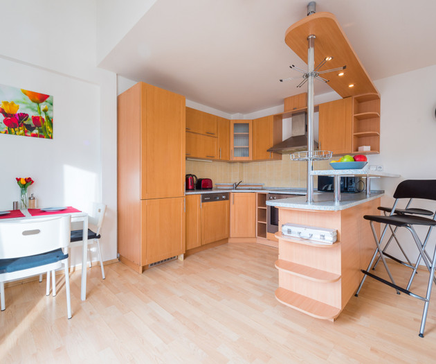 ROOF APARTMENT with TERRACE near WENCESLAS Sq.