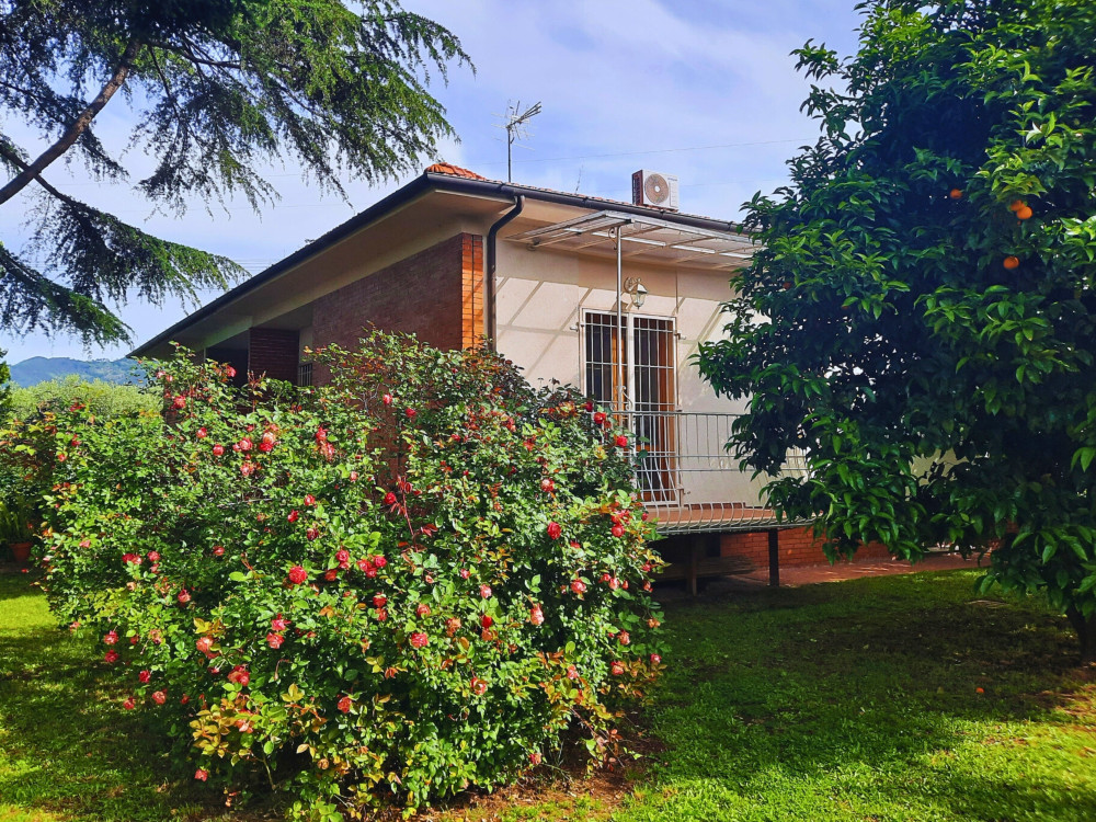 Versilia Olive Residence: Your Tuscan Remote Work preview
