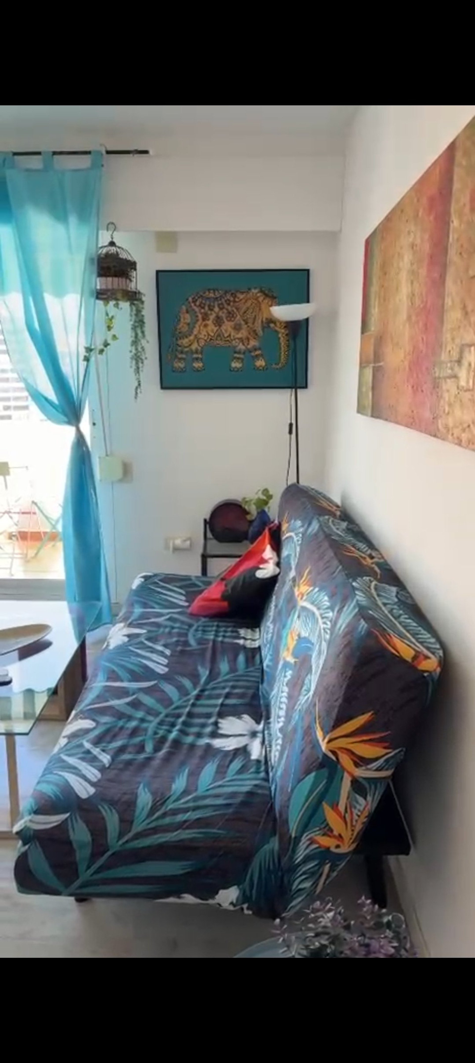 Living area with sofa bed