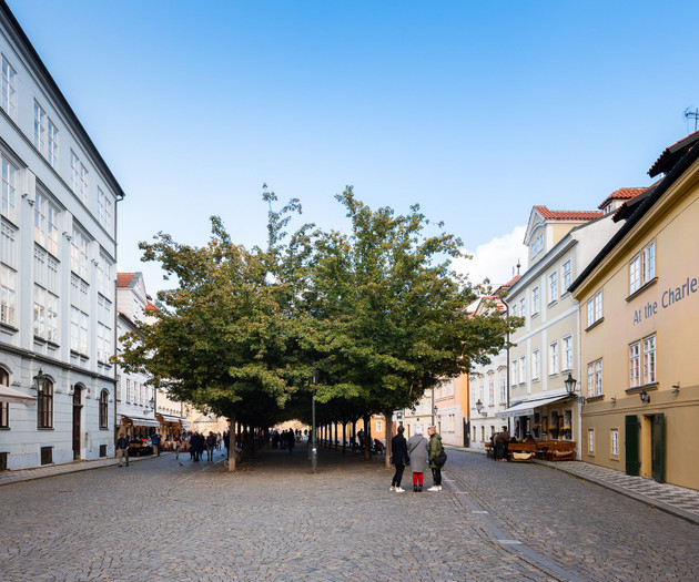 Charming tree-lined cobblestone square