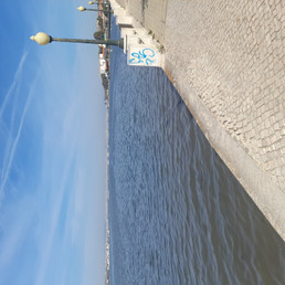 Landlords profile photo