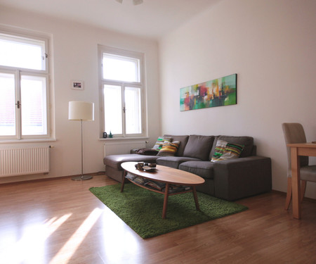 Room in spacious apartment in Letná