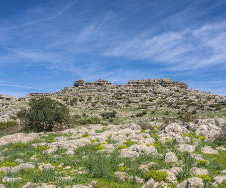 Cubo's Casa El Torcal