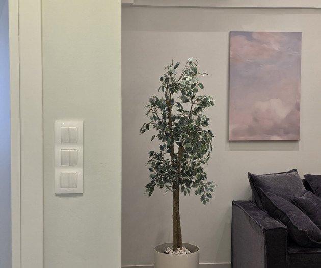 Cloud Nine SKG Central Apartment