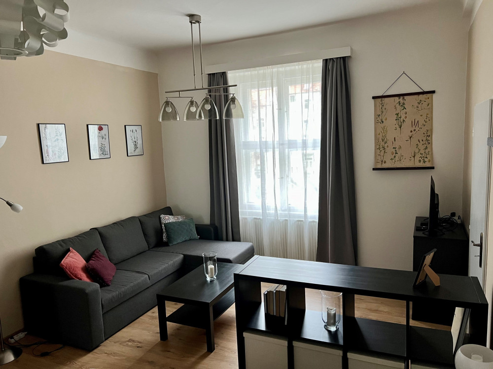 Newly reconstructed apartment at Letna