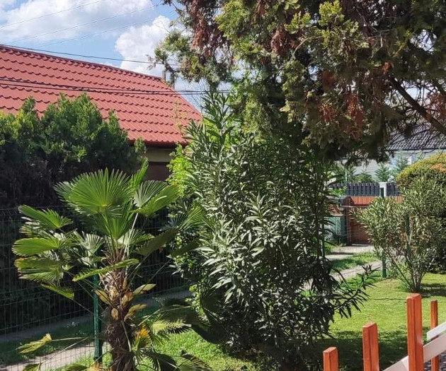 Mediterran Garden Big Apartment 2