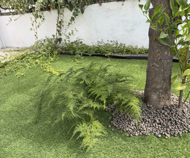 Santarém Orange Tree Cottage - Villa Sol