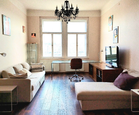 Luxury flat overlooking the Vltava river