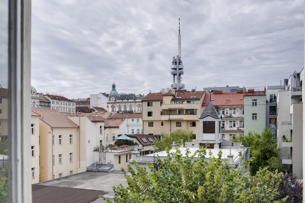 1bedroom apartment in Žižkov, Prague 3 preview