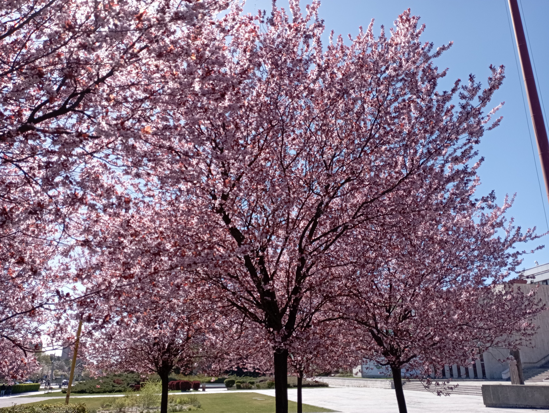 Spring in centre Kosice