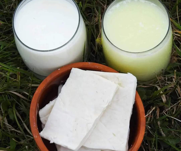 The farm is located 13 km from Mojkovac