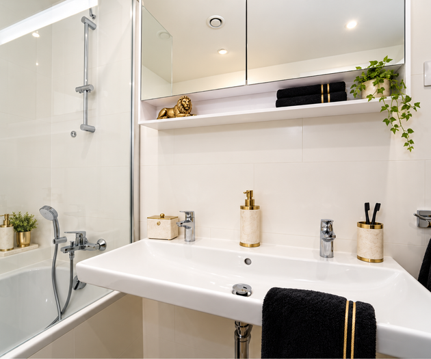 Amplo apartamento central | Luxo em Praga