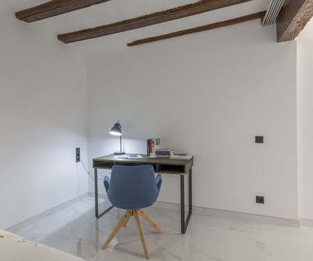 Renovated loft in center of Valencia