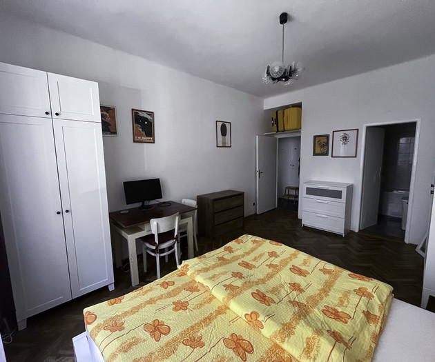 Cozy 1+1 apartment Vinohrady