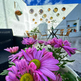 Landlords photo
