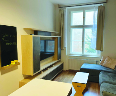 Luxury apartment in the centre of Prague