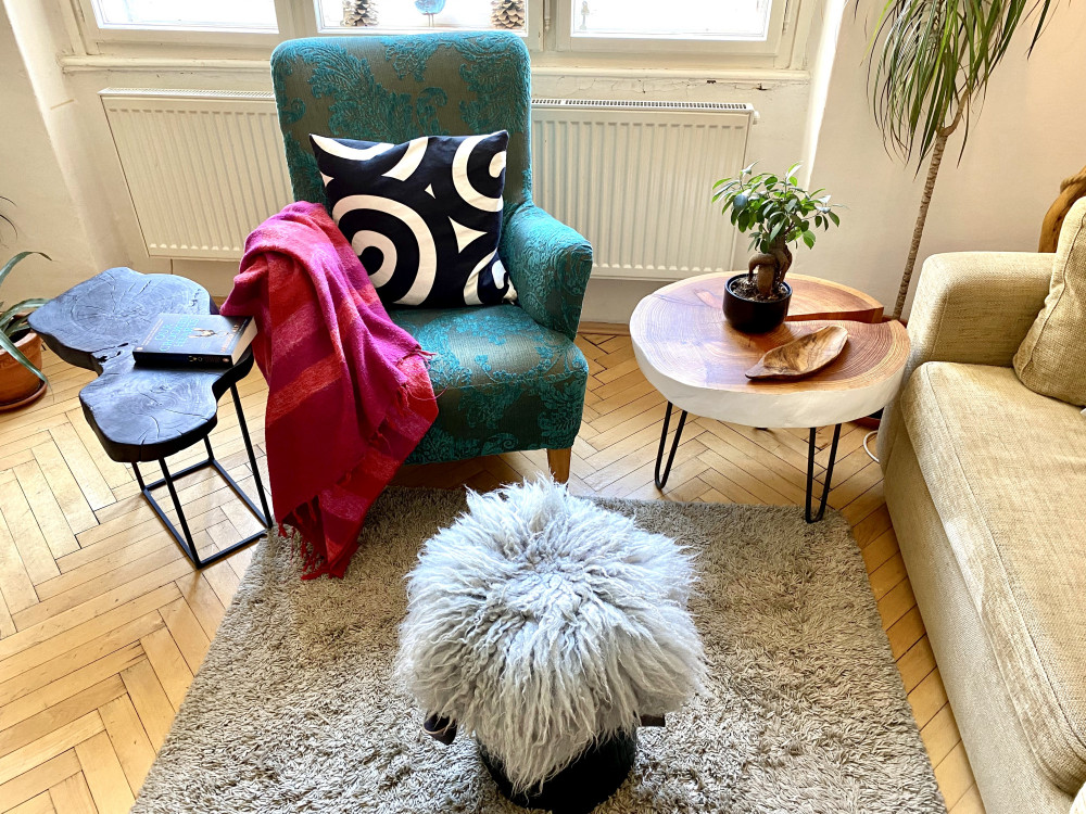 Spacious apartment near Stromovka street in Prague preview