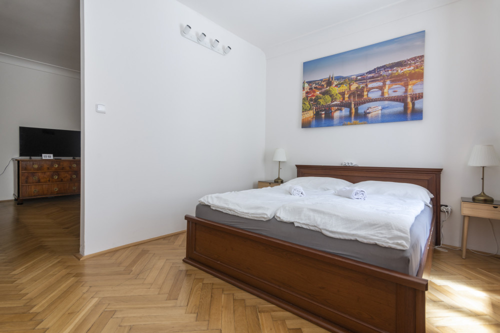 ⚡️Apt with Historic Spirit under the Prague Castle preview