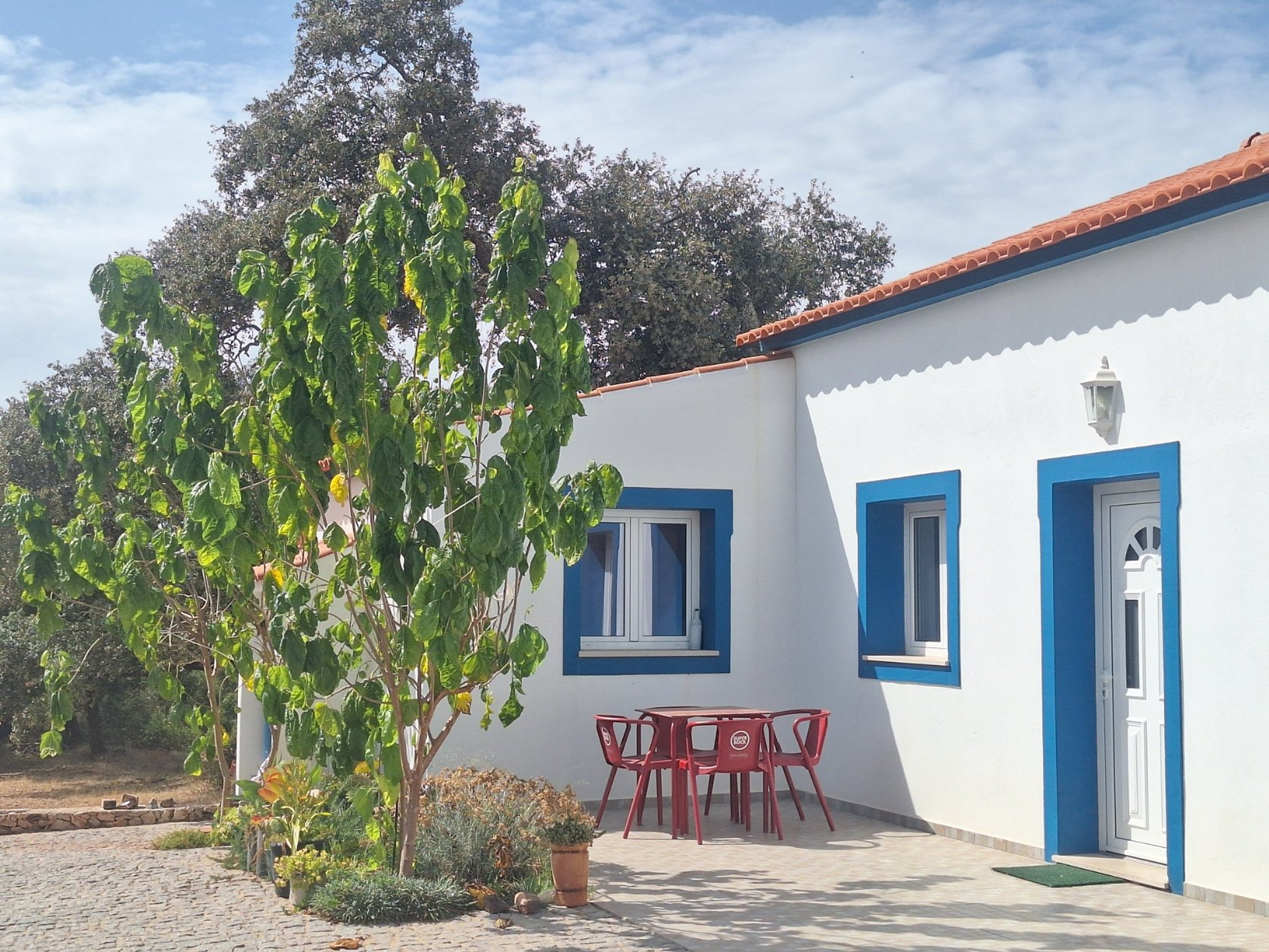 House exterior with tree