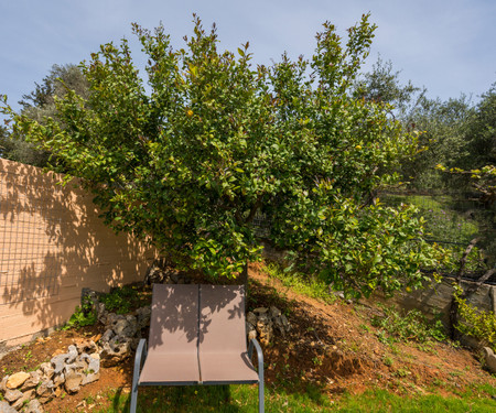 Sunny House with private pool in Chania