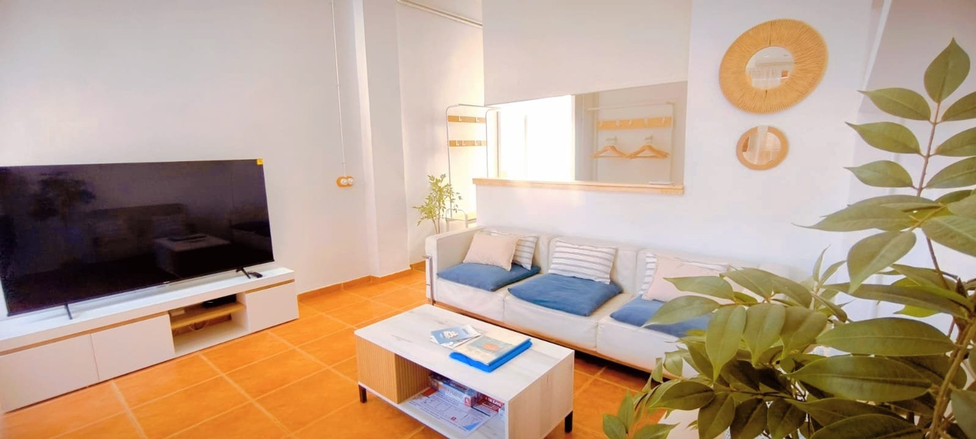 Living room sofa and TV
