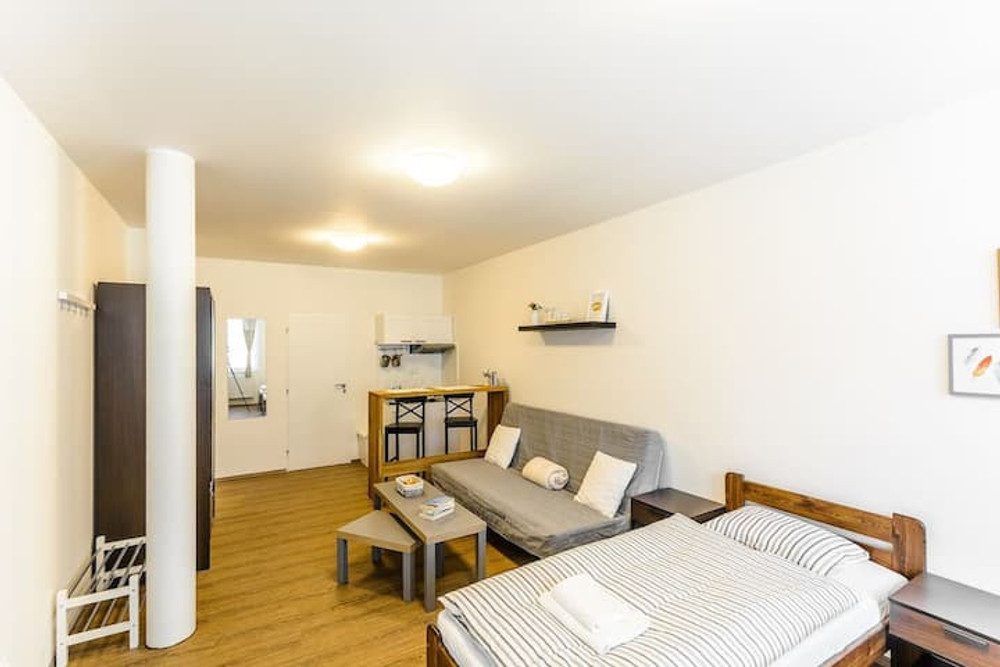 Studio apartment Zizkov preview