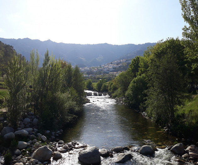 Sunny flat in the mountains