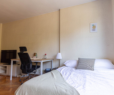 R0053- Room in flat to share Barcelona Montjuic