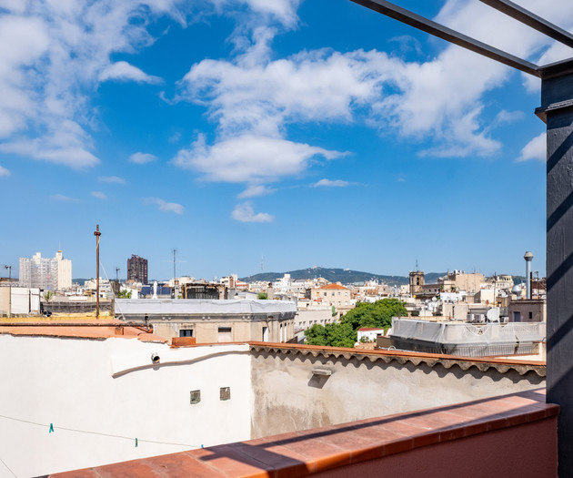 Confy attic with terrace 1 bedroom right in Born