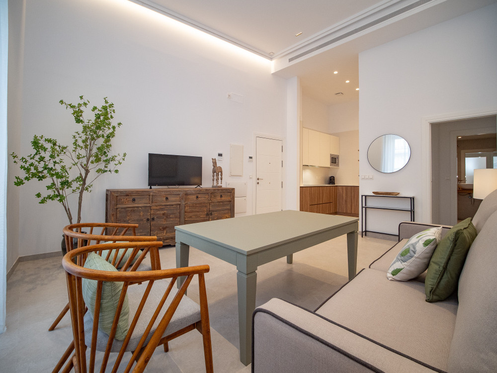 Renovated Palace by the beach in Cadiz preview