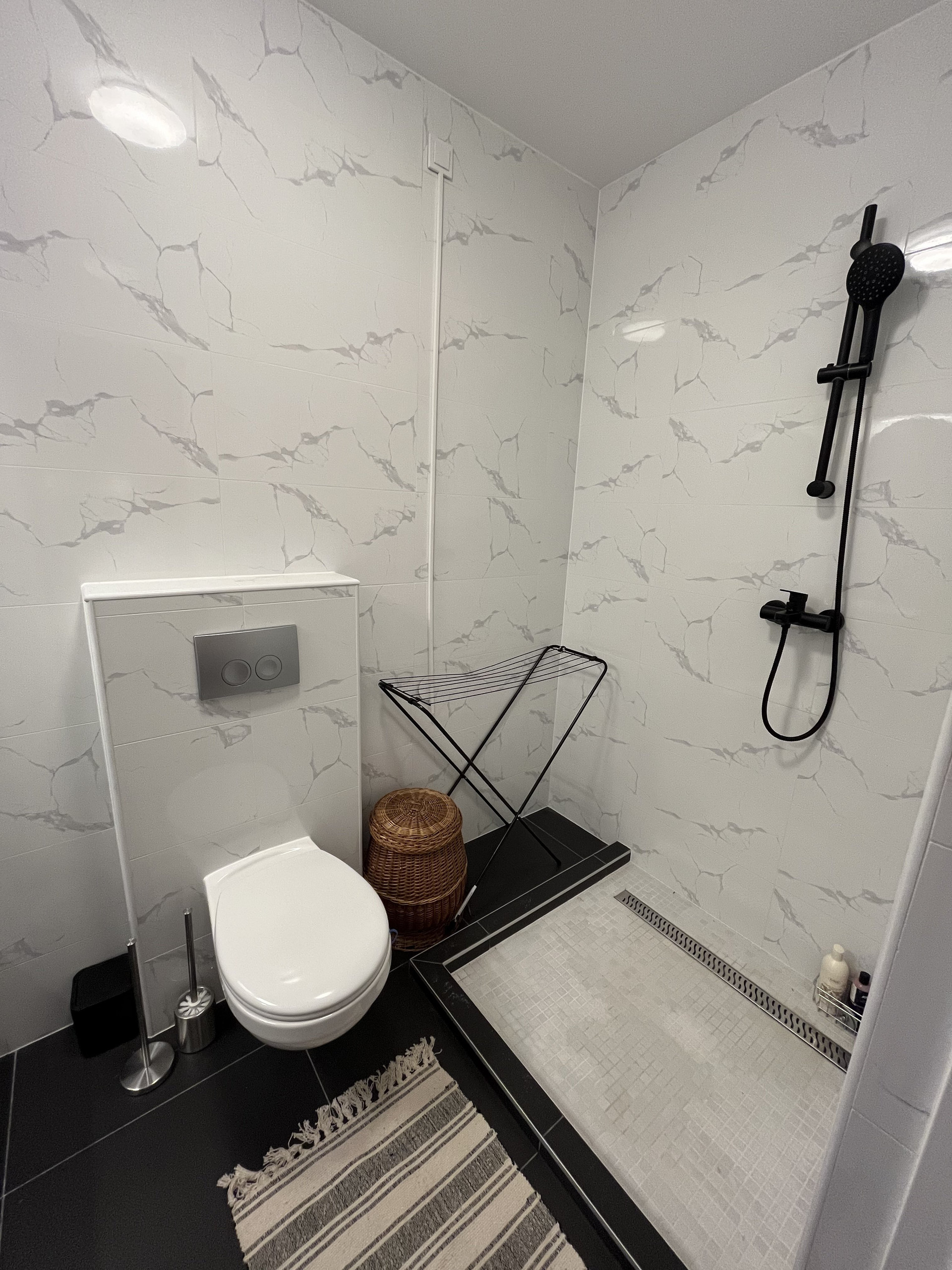 Bathroom shower and toilet area