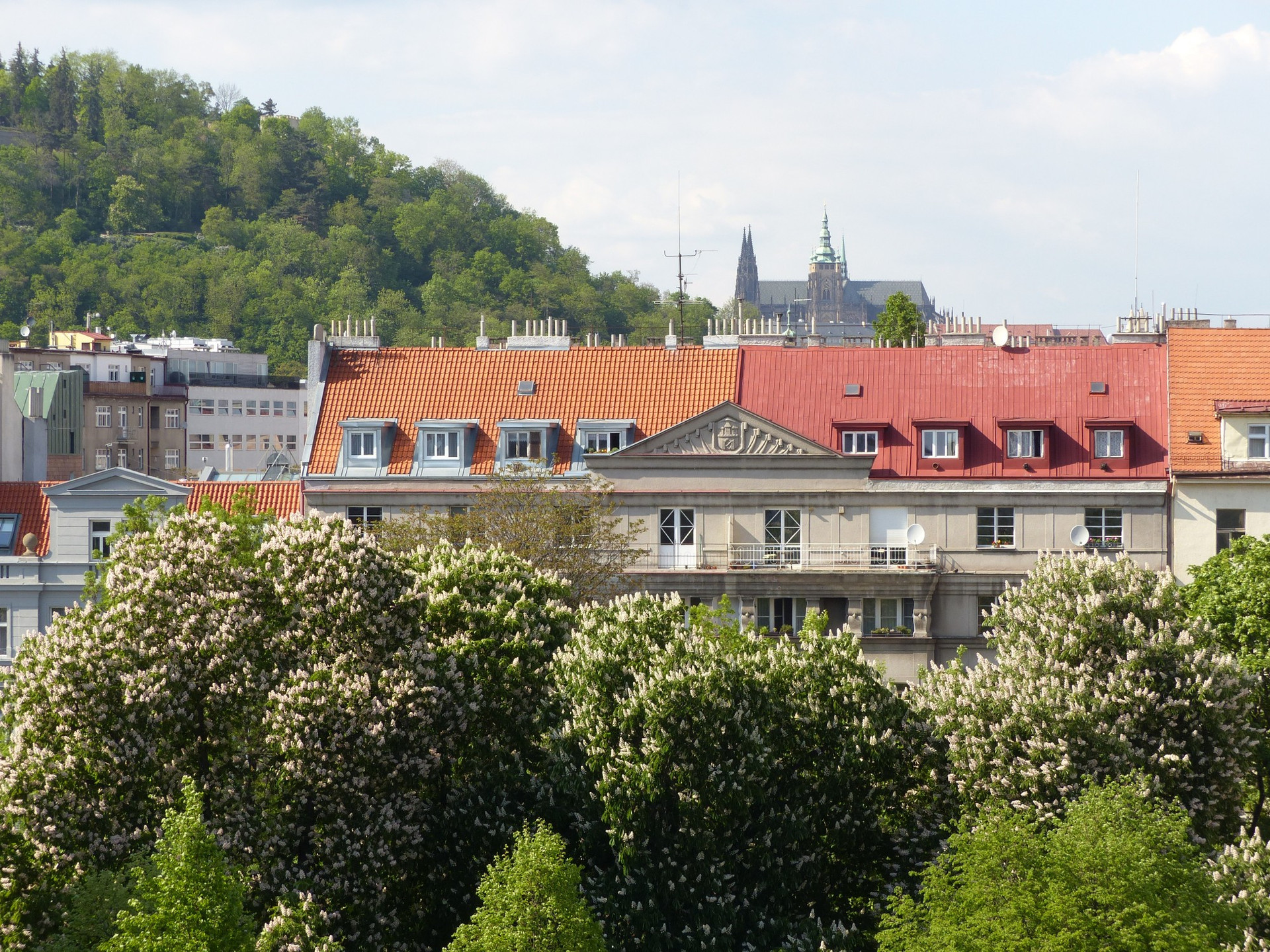 View from the terrace and kitchen window
