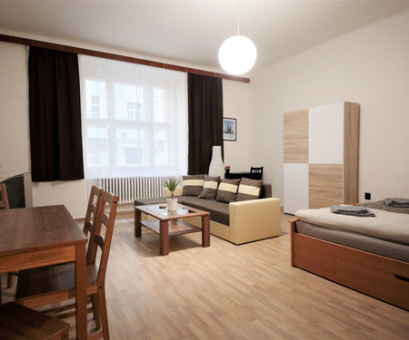 Flat for rent - Prague 7 - Holesovice