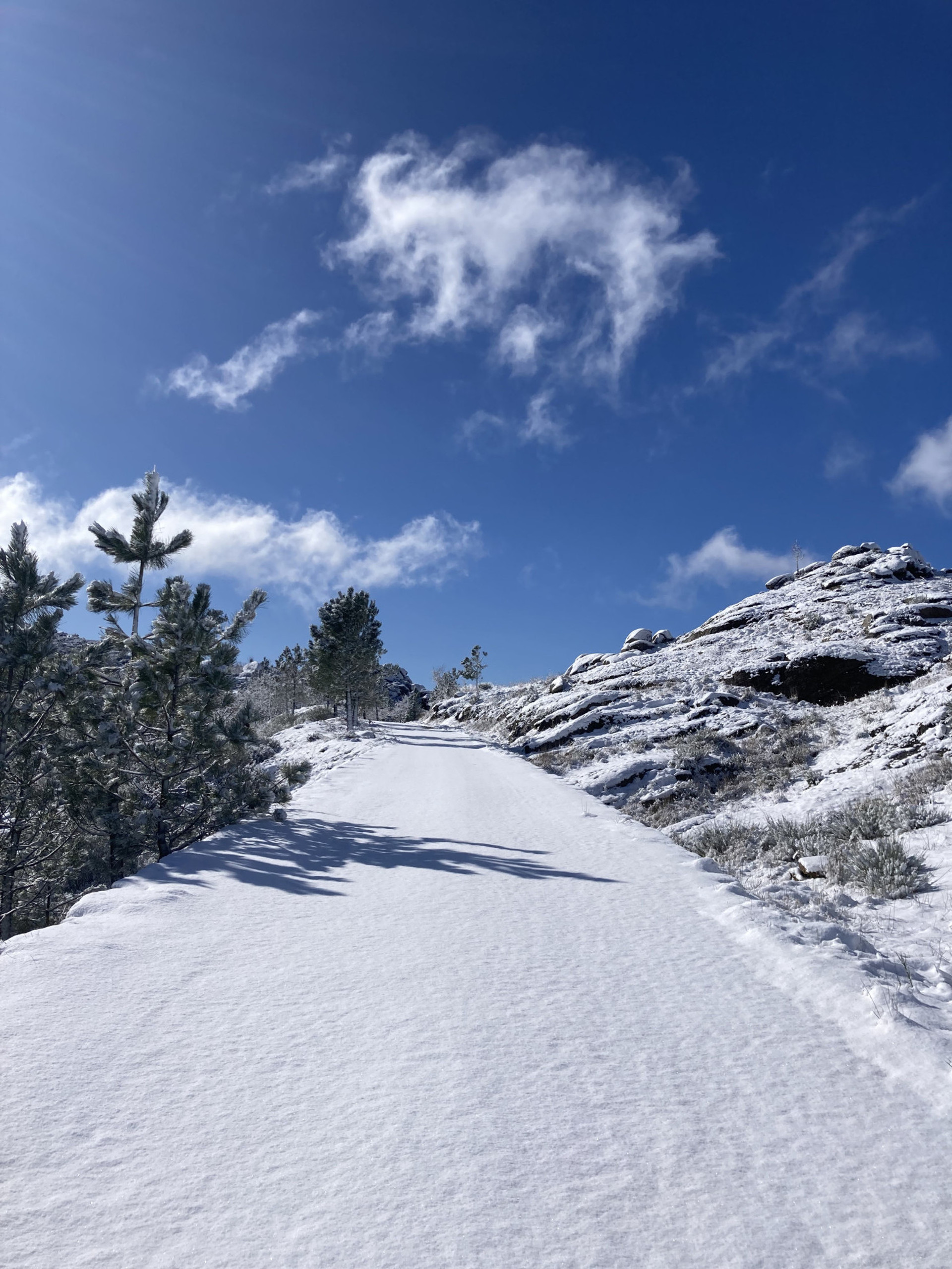 Mountain Landscape
