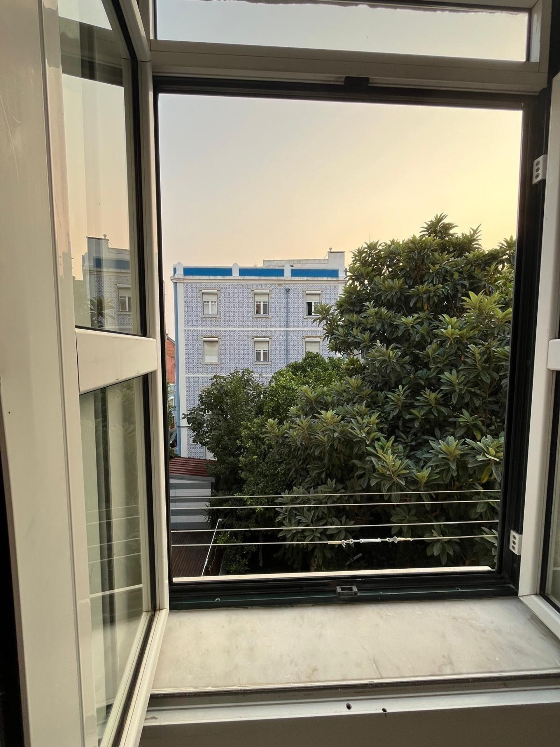 kitchen window