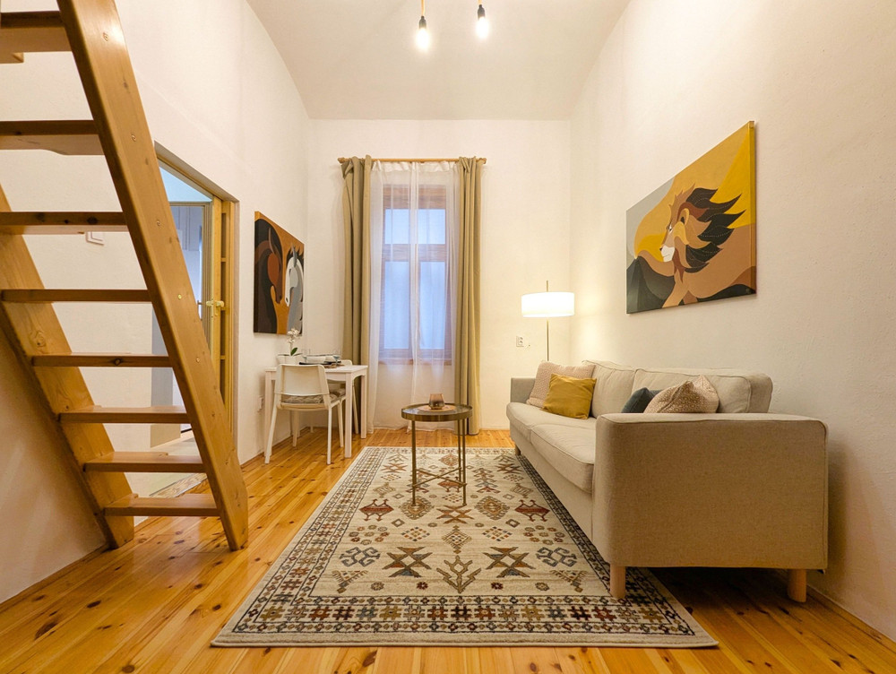 Studio apartment at Corvin-Palace district preview