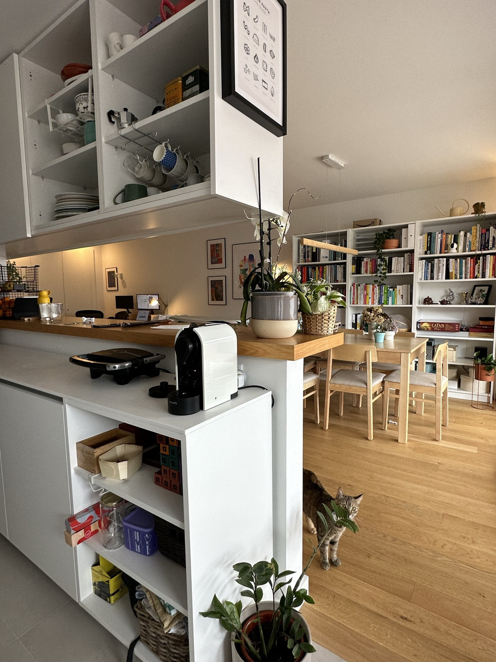 1 bedroom flat in private building w/ terrace+gym preview