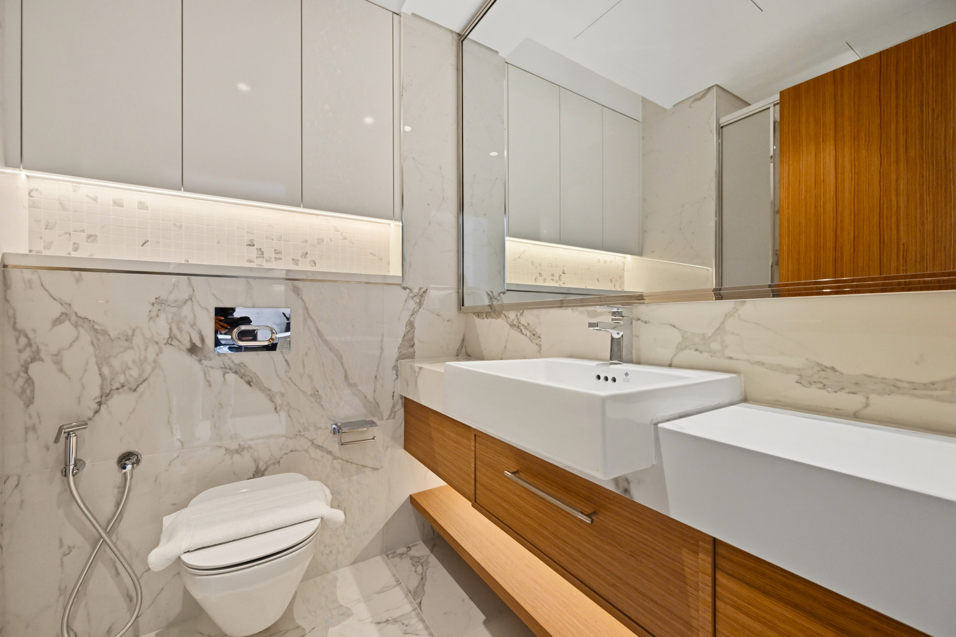 Full bathroom with toilet and vanity